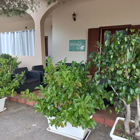 Mivida "Le Stanze Di Ada" Bed & Breakfast San Teodoro  Ngoại thất bức ảnh