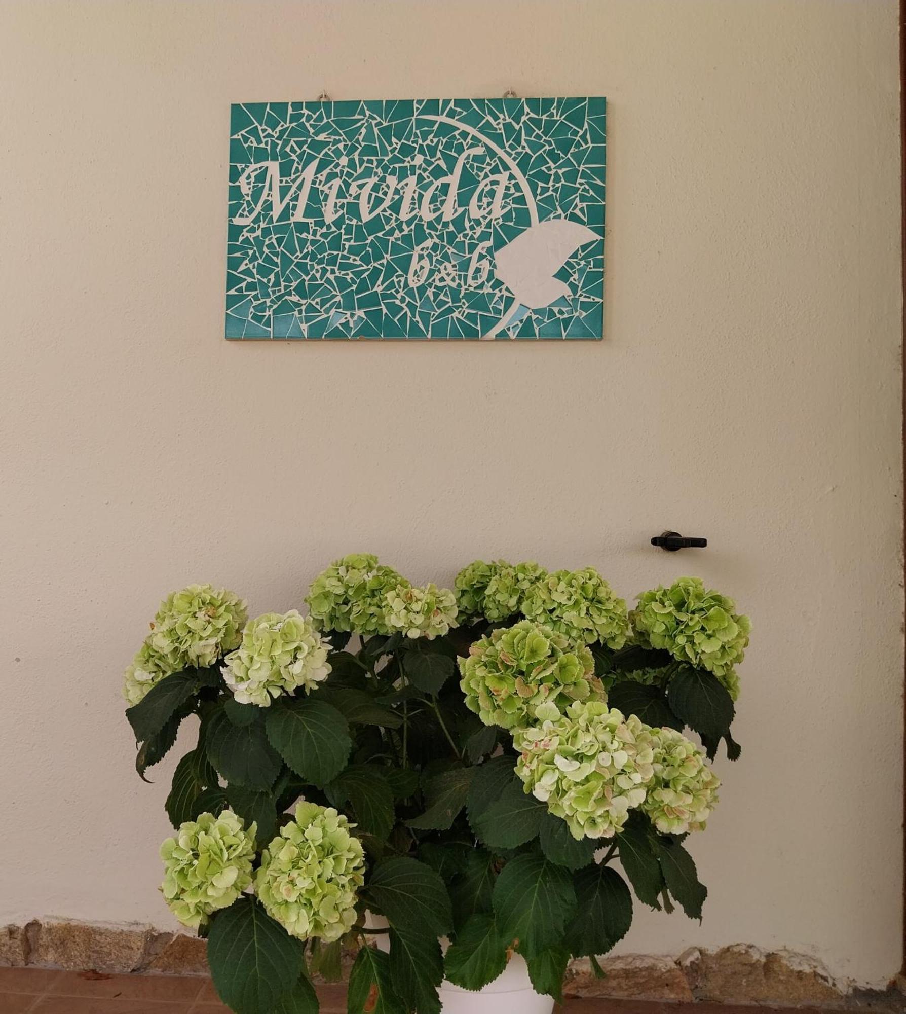 Mivida "Le Stanze Di Ada" Bed & Breakfast San Teodoro  Ngoại thất bức ảnh
